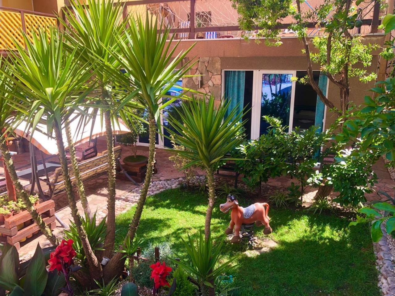 בודווה Apartments Ds Club מראה חיצוני תמונה