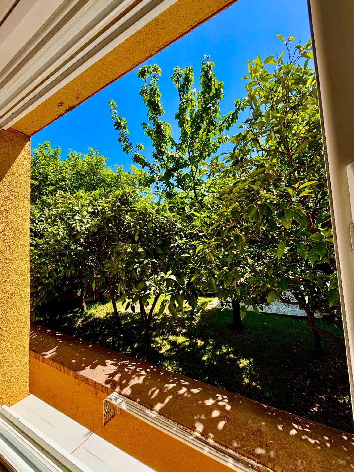 בודווה Apartments Ds Club מראה חיצוני תמונה